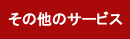 ̑̃T[rX